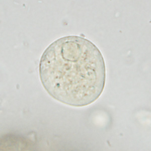 December - 2013 - Case #361