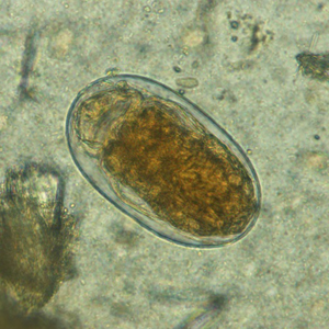 Case367_A.jpg