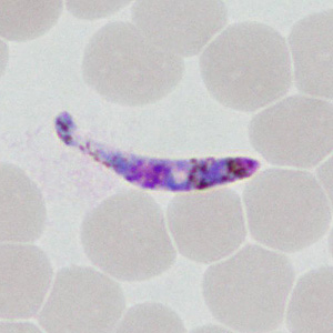 Case377_G.jpg
