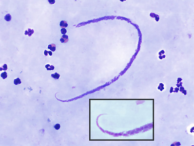 Case382_B.jpg