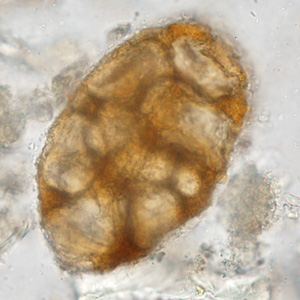 Case388_C.jpg
