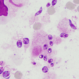 Case394_C.jpg