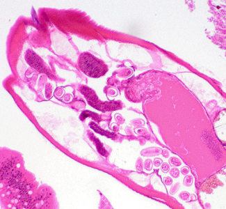 Case400_B.jpg