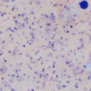 Case403_B.jpg