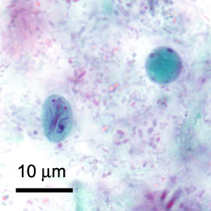 Case419_D.jpg