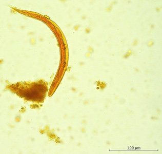 Case421_D.jpg