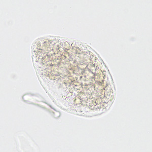 Case422_C.jpg