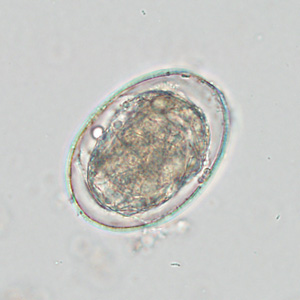 Case425_E.jpg