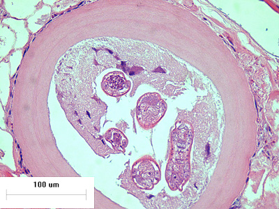 Case426_B.jpg