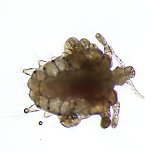 Case435_D.jpg