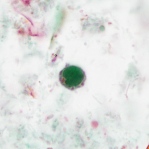 case440_G