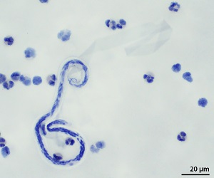 Case502_B Figure B