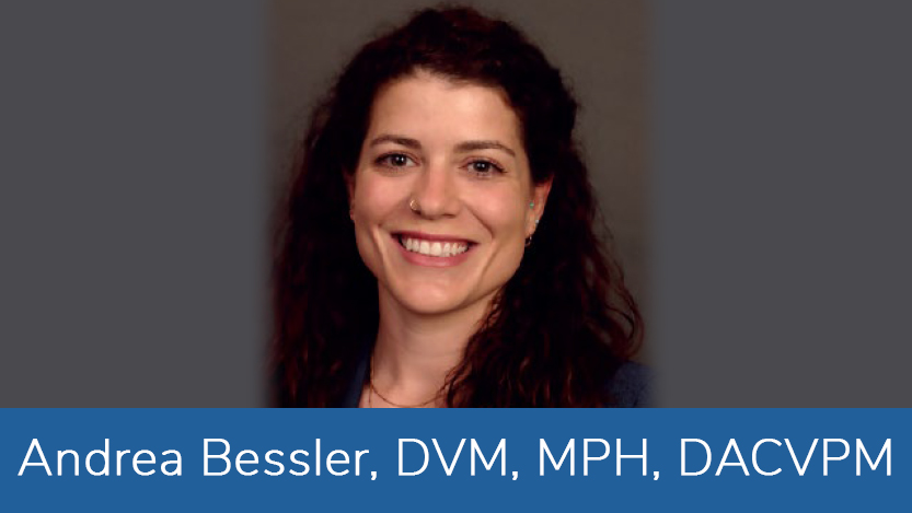 Andrea Bessler, DVM, MPH, DACVPM