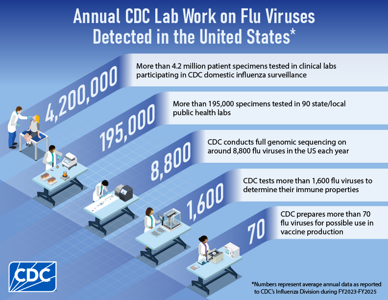 Annual CDC Lab Work on Flu Viruses Detected in the United States