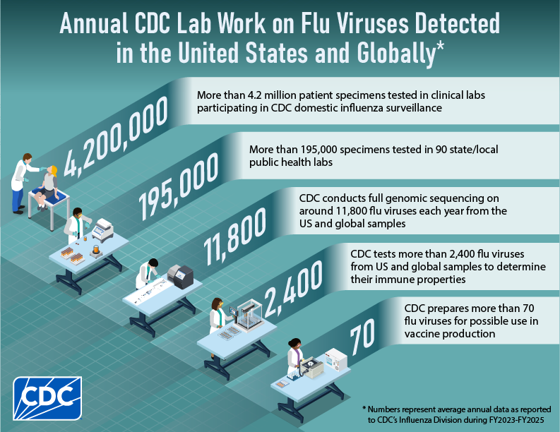 Annual CDC Lab Work on Flu Viruses Detected in the United States and Globally