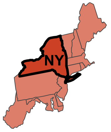 NY Food Safety CoE Region Map of the New York Food Safety CoE region