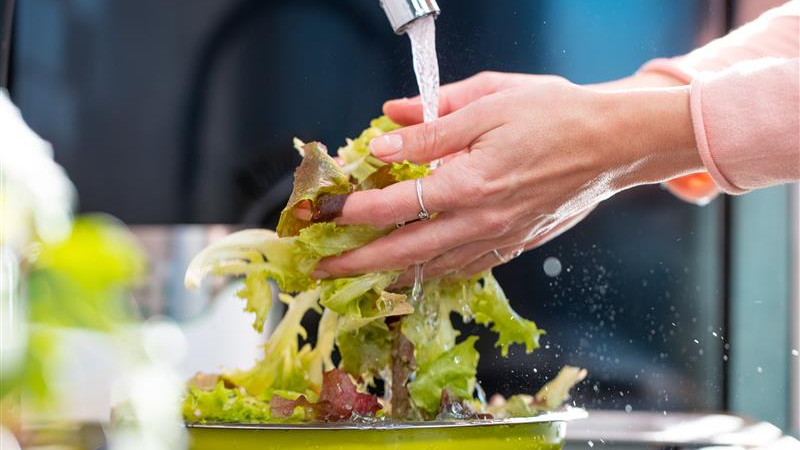 A person washes salad greens under tap water.