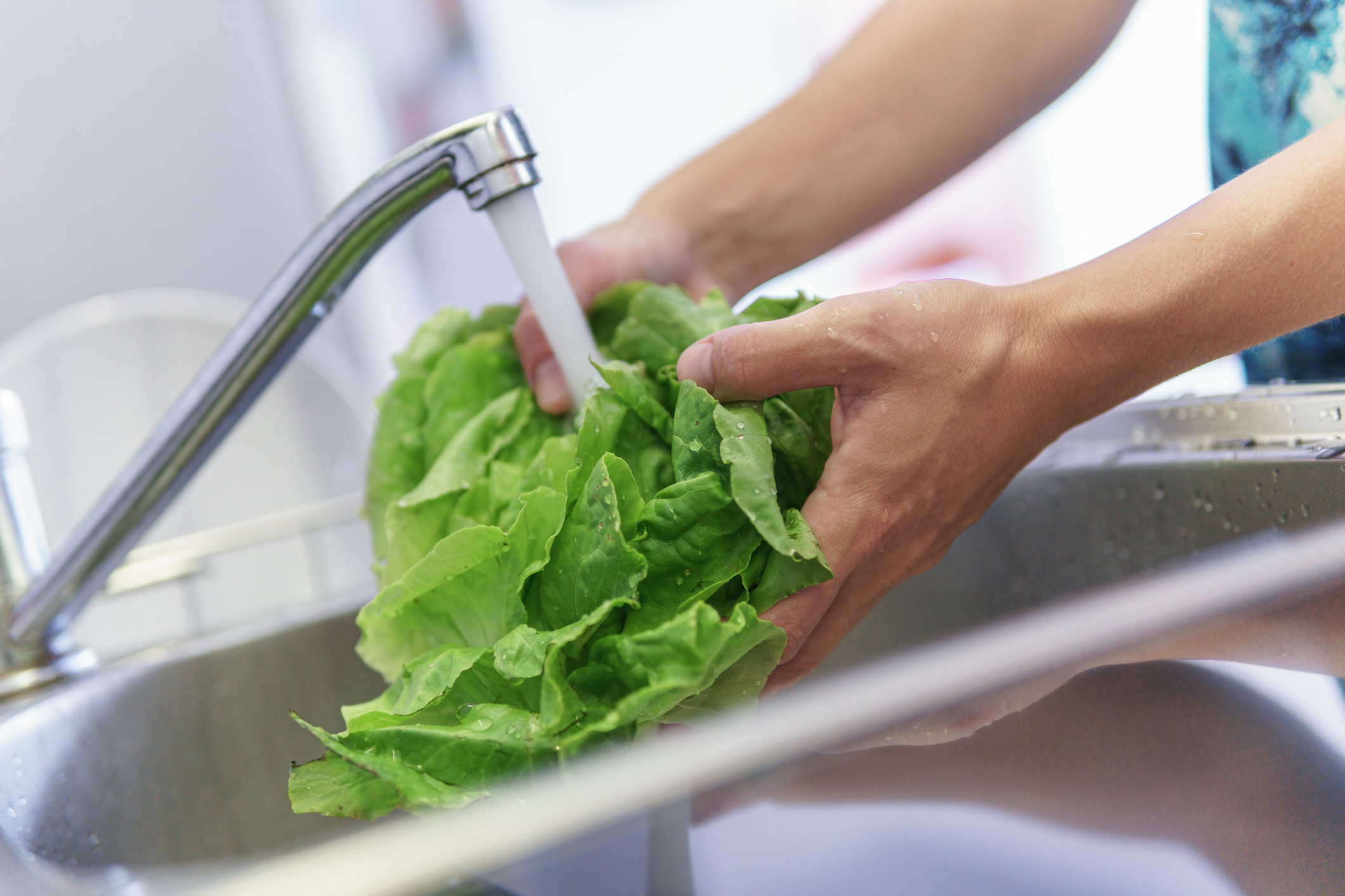 Hands washing lettuce under running water coming out of faucet