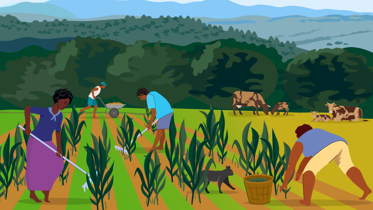 Men and women working in a field.