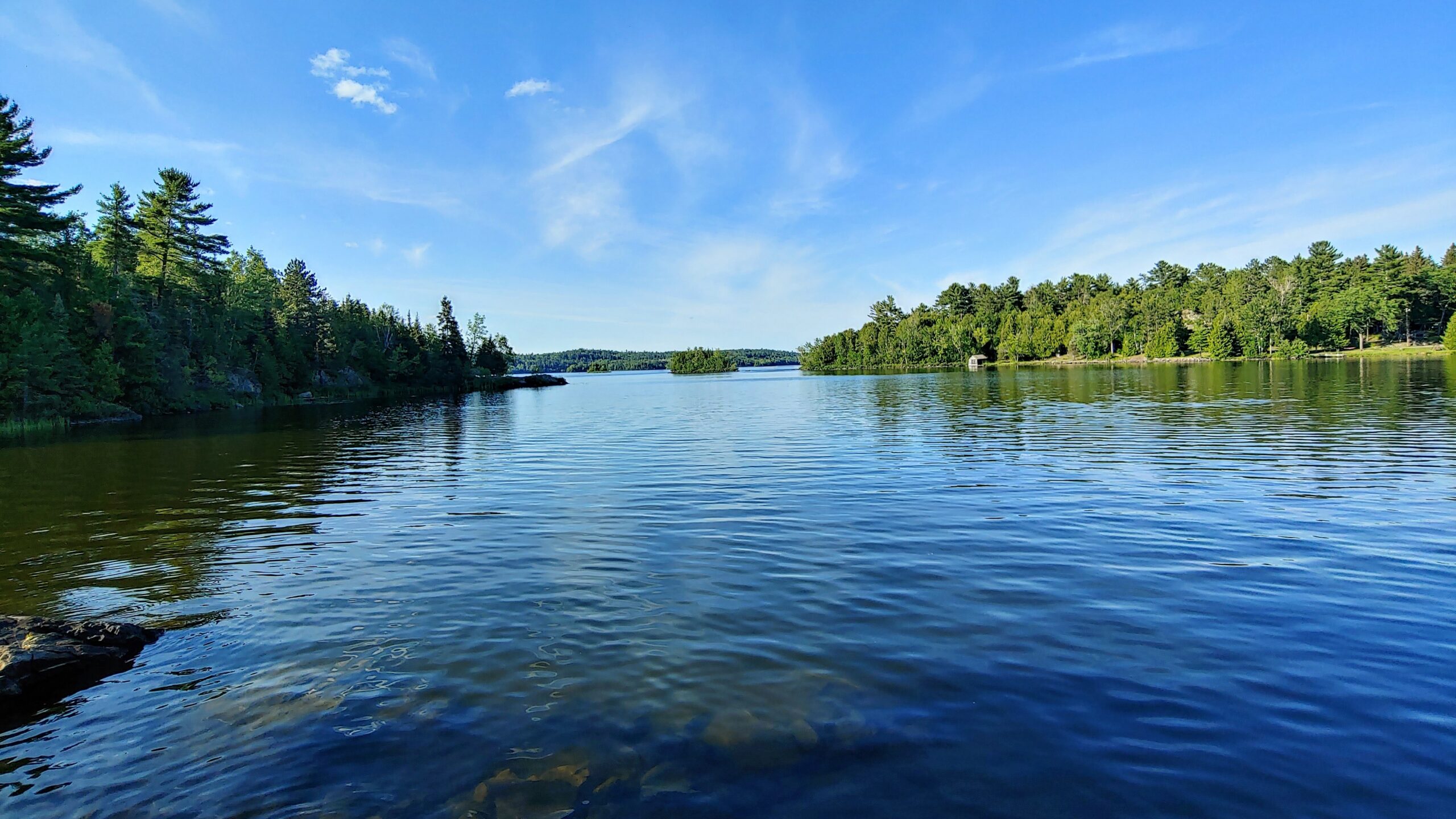 Tree-lined lake on a clear day