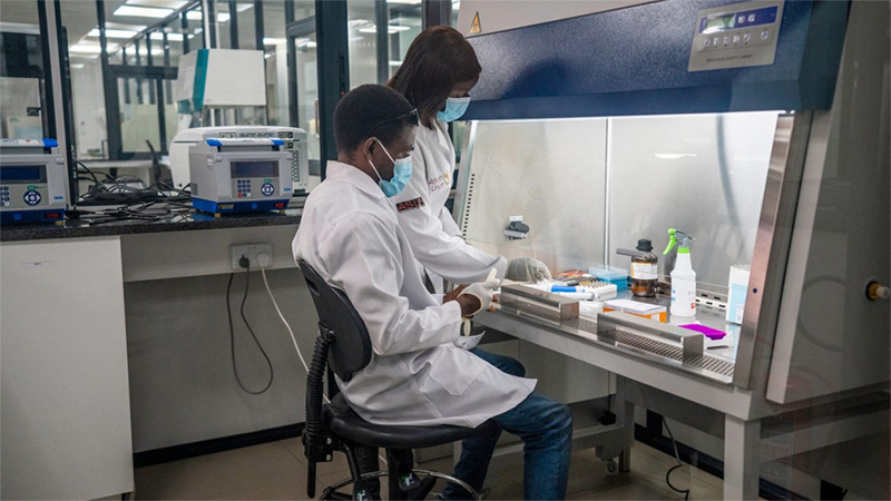 Two laboratory workers in the lab.