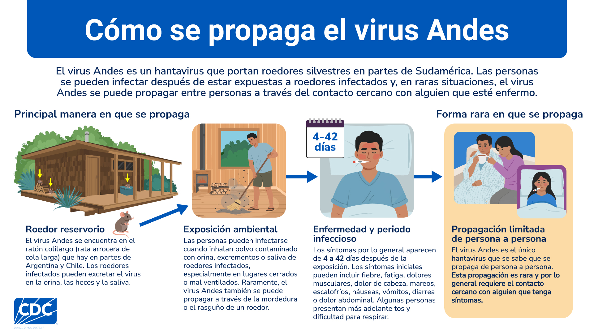 C&oacute;mo se propaga el virus Andes de roedores infectados a las personas