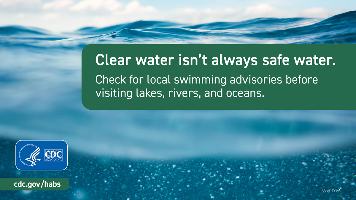 Graphic with a close-up of clear water in the background. Text on the graphic says, "Clear water isn't always safe water. Check for local swimming advisories before visiting lakes, rivers, and oceans."