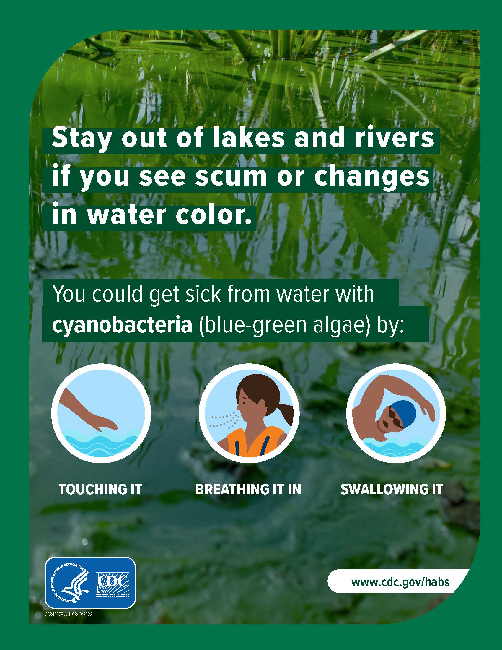How You Can Get Sick From Harmful Algal Blooms Poster: English 8.5x11