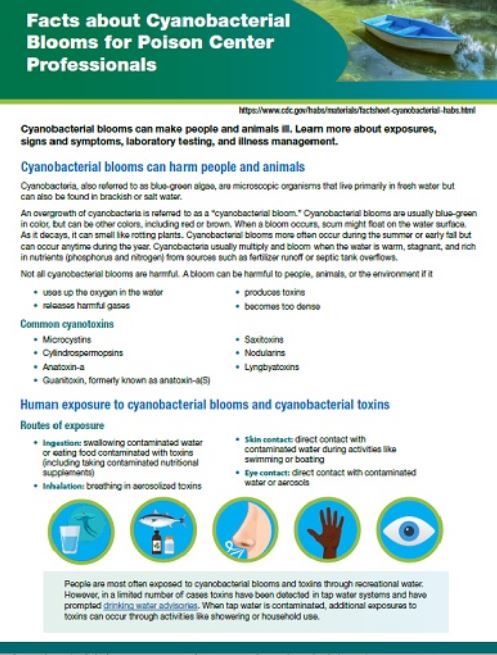 Thumbnail of Facts about Cyanobacterial Blooms for Poison Center Professionals