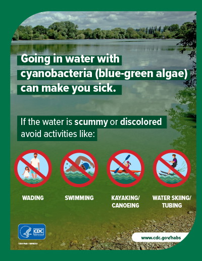 Activities to Avoid During a Harmful Algal Bloom Poster: English 8.5x11