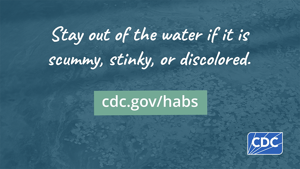 Stay out of the water if it is scummy, stinky, or discolored. cdc.gov/habs