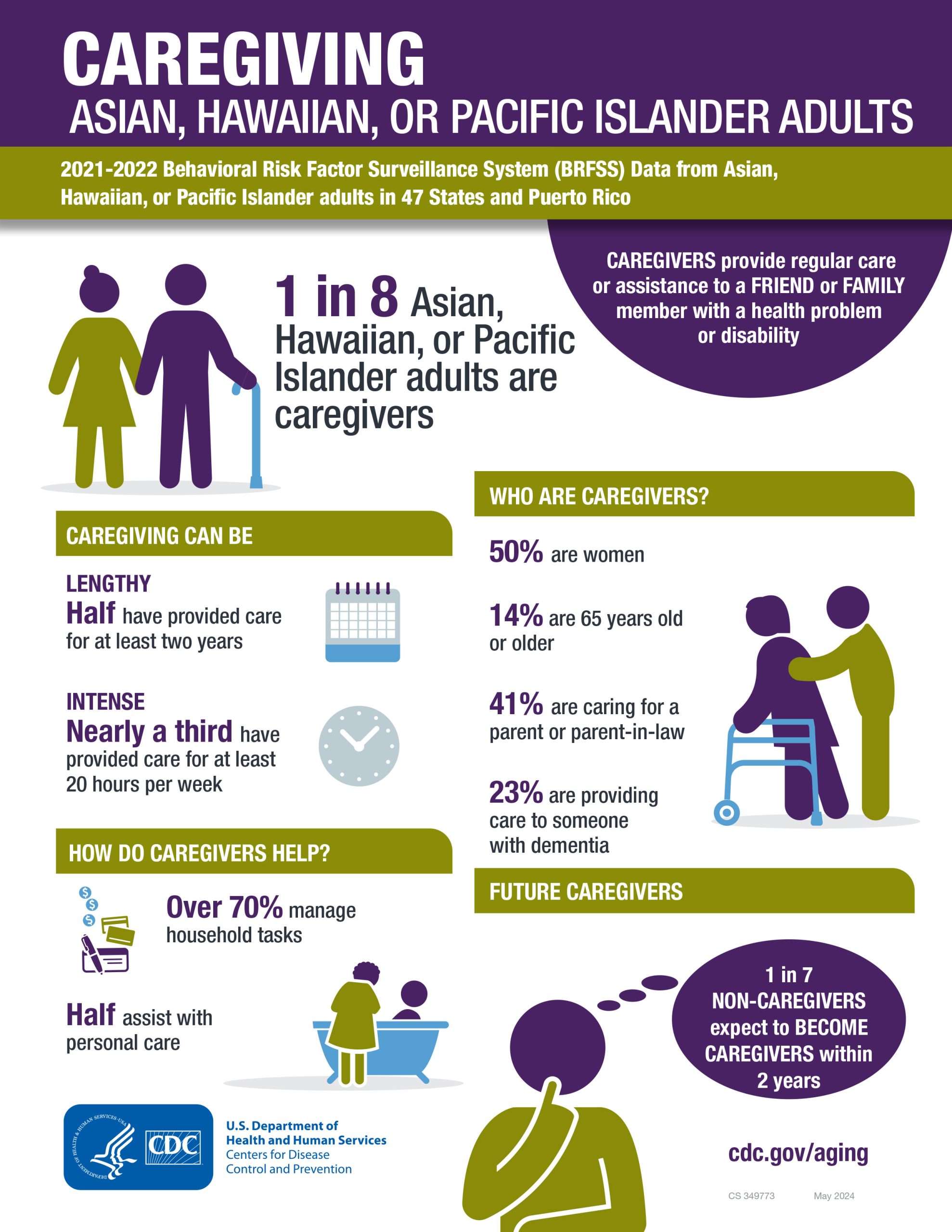 Cover Image for 2022 Caregiving for Asian, Hawaiian or Pacific Islander
