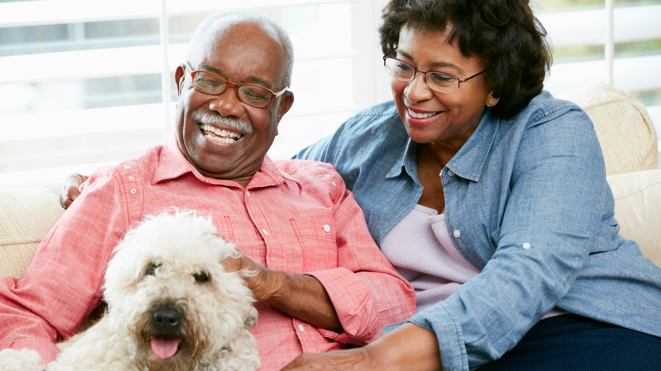 Older couple with dog An older couple smiles at a white dog on a couch