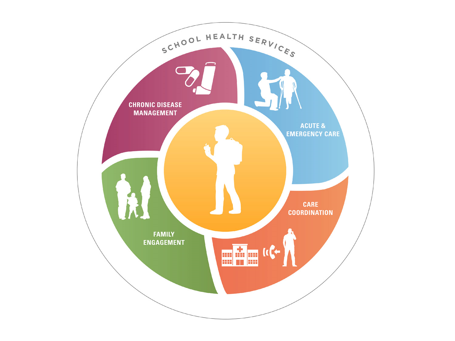 A circle with sections describing school health services, each with a different color background.