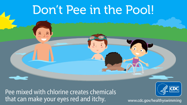 Don't Pee in the Pool GIF that shows a child swim by other children and pee. The other children then have surprised looks on their faces.