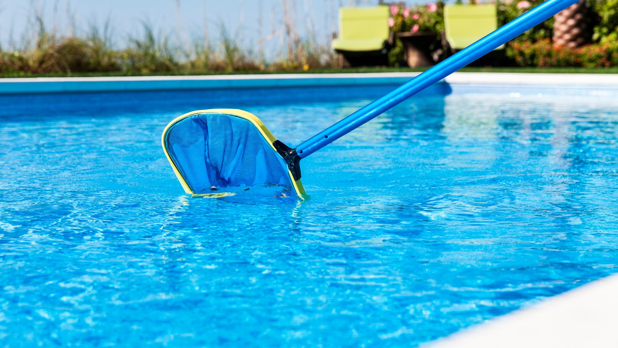 Red de limpieza para piscinas sacando algo del agua de la piscina.