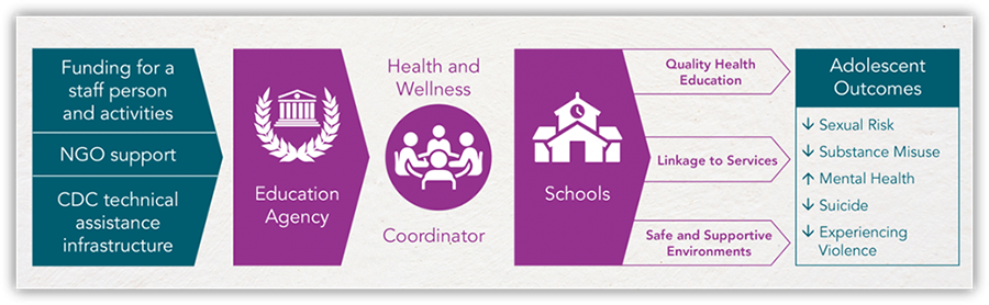 The multilevel program model, using content on this page, shown on a white banner with green and purple shapes and text.