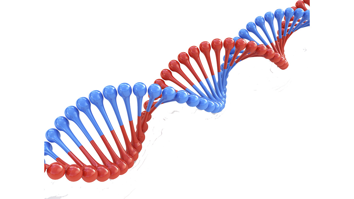 DNA Illustration of a DNA double helix