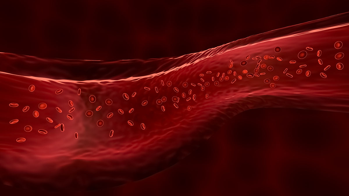 genericviruscell1200px.jpg Blood cells in a vein