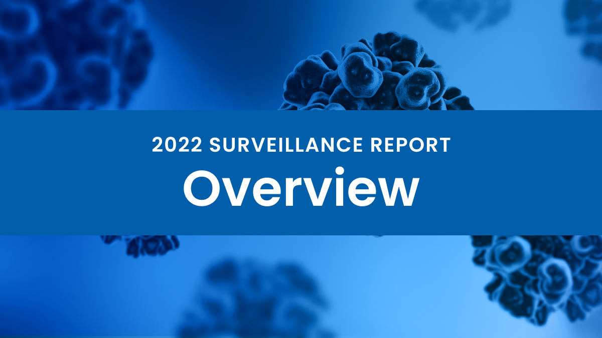CDC 2022 Hepatitis Surveillance Report Overview