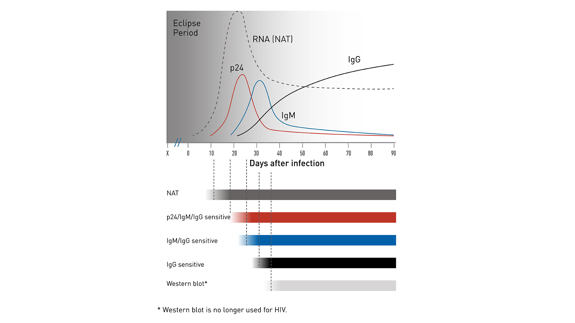Charts showing the eclipse period for different types of HIV tests. The NAT can detect HIV the earliest, followed by the antigen/antibody combination test, and lastly, the antibody test.