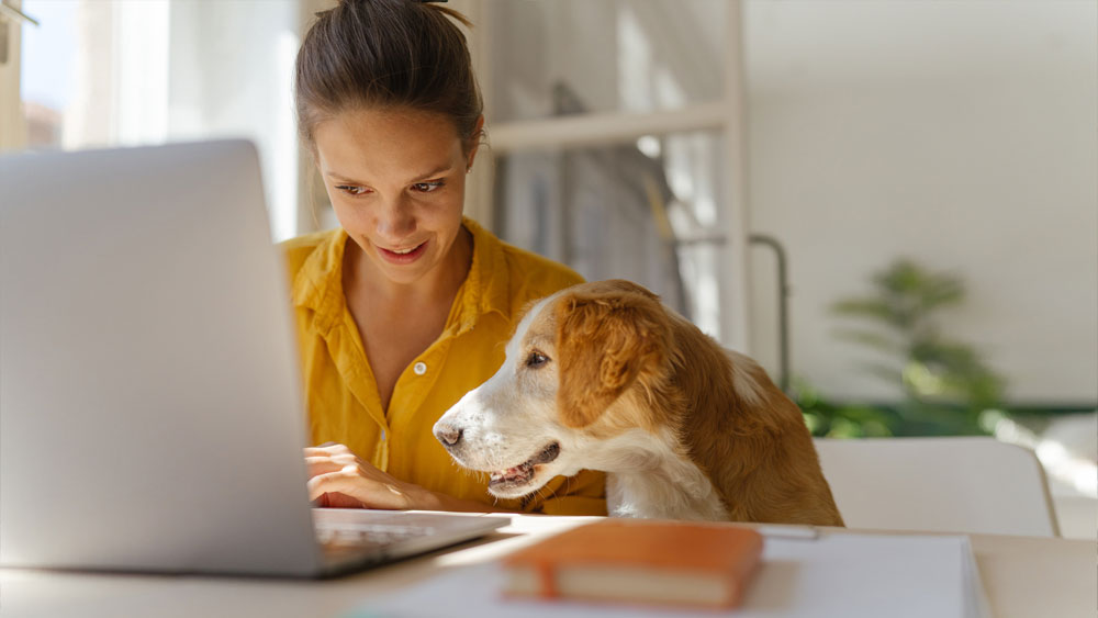 Woman working on the computer while her dog watches.