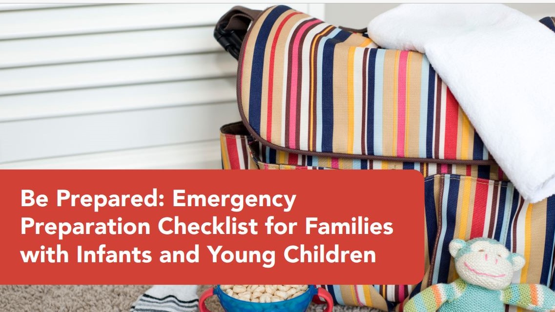 Striped diaper bag, toddler cup, stuffed animal monkey, and other items to include in an emergency kit.