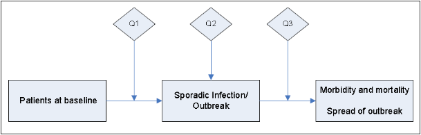 Q1 occurs after Patients at baseline; Q2 occurs during Sporadic Infection/ Outbreak; Q3 occurs before Morbidity and mortality and Spread of outbreak