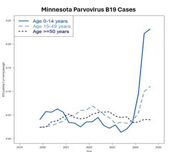MADMC models Parvovirus B19 cases in Minnesota from 2022–2025, using ML to help identify a spike in infections.