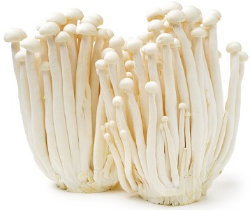 Enoki Mushrooms enoki mushrooms