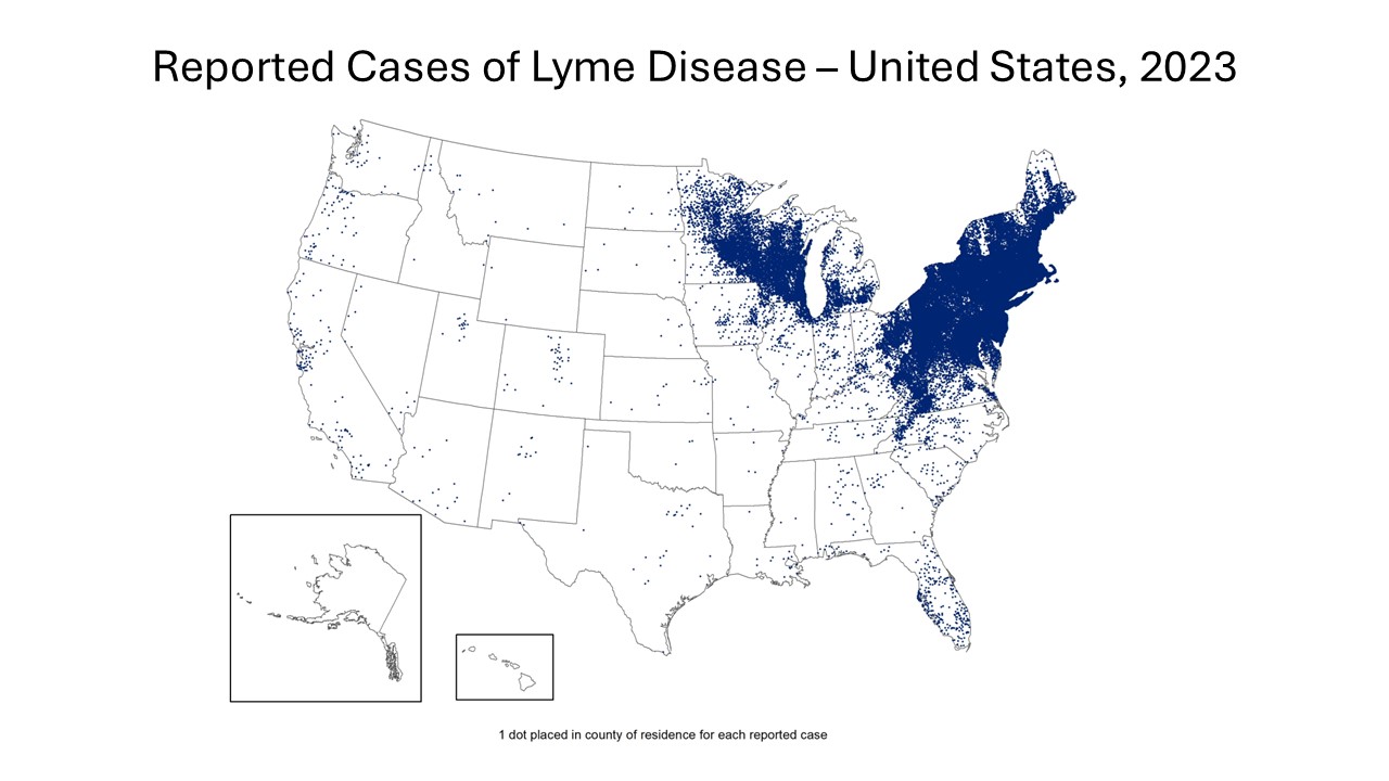 Map of the United States showing reported cases of Lyme disease in 2023.