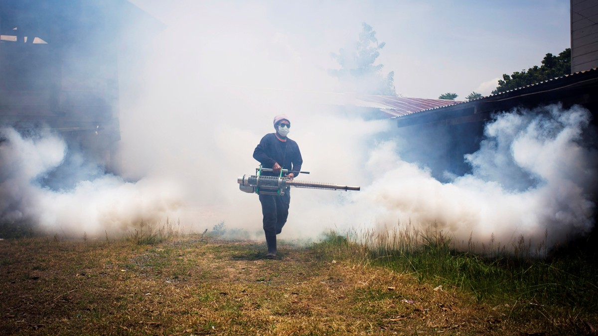 Technician fogging insecticide outdoors to eliminate mosquitoes.