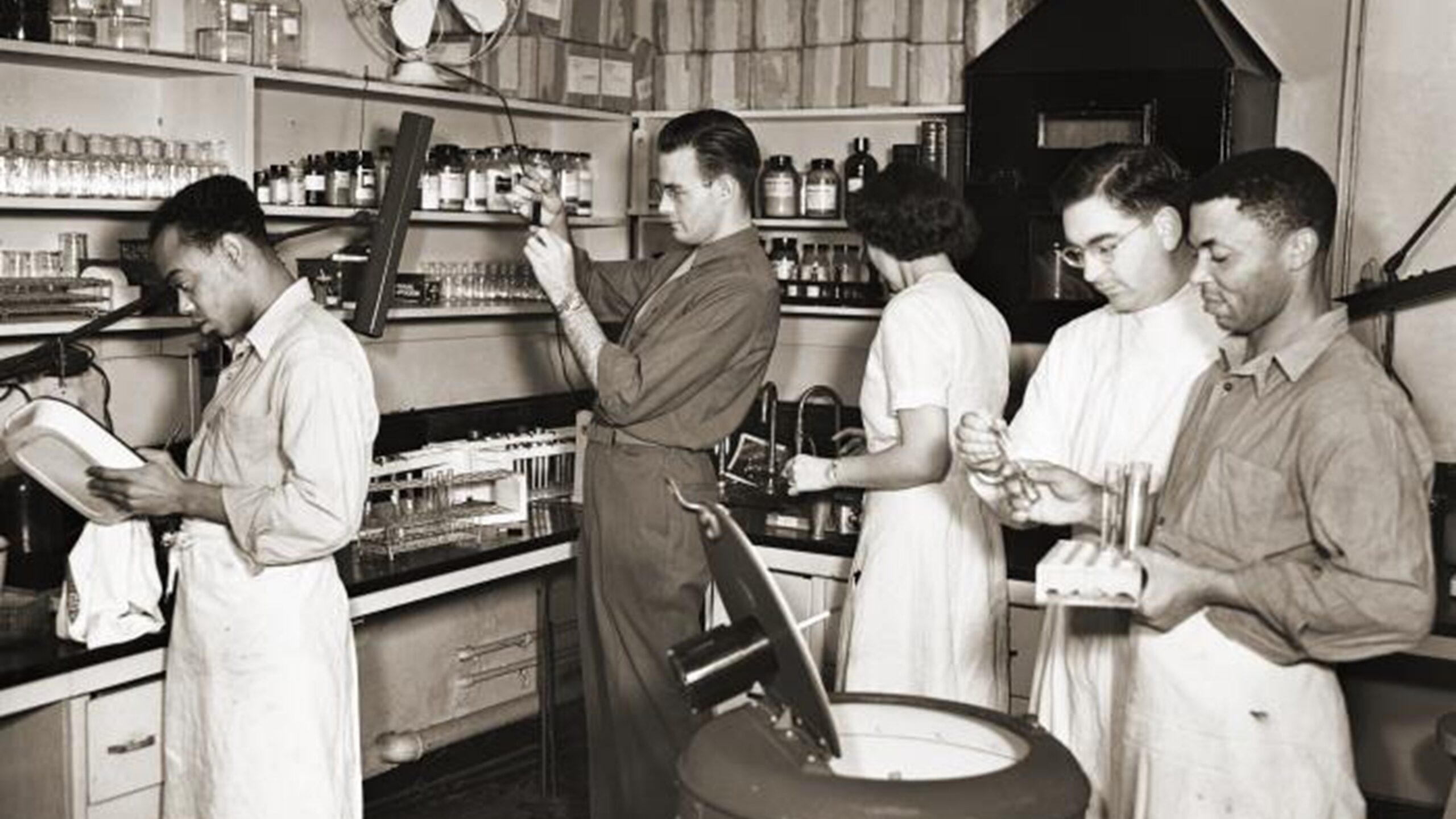 A group of Malaria Project team members carry out laboratory work in 1952.