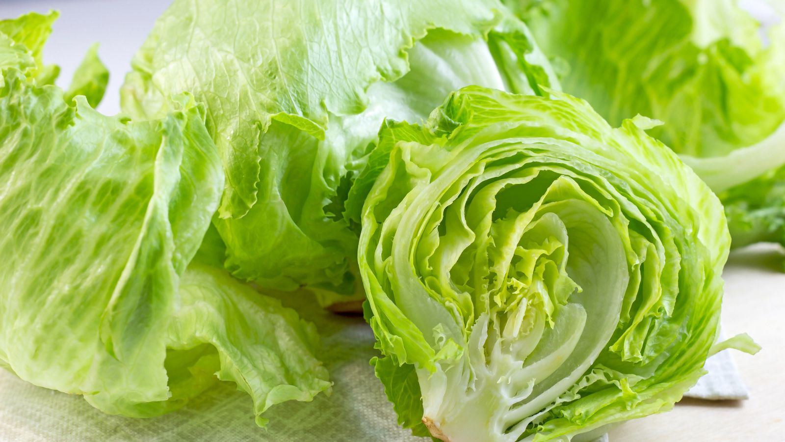 Una lechuga